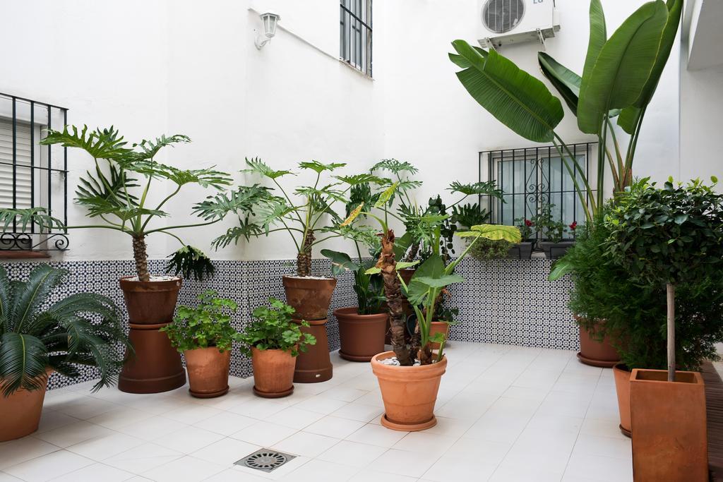Urbanchicmalaga 3 Bedroom Spacious Quiet Historic Malaga Apt Eksteriør bilde